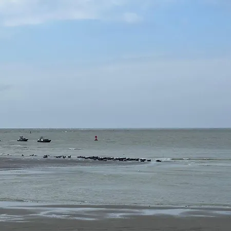 A 50m Reves Tranquilles Les Bains De Lägenhet Mers-les-Bains