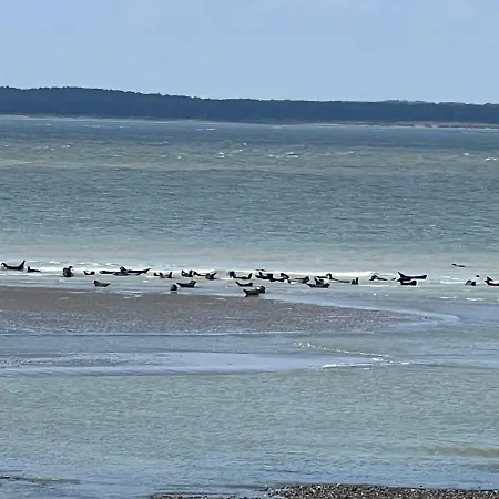 A 50m Reves Tranquilles Les Bains De *